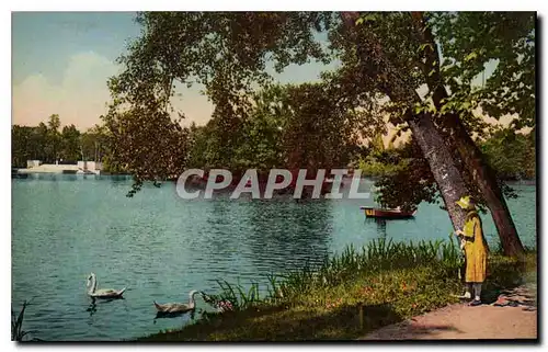 Cartes postales Lyon Parc de la Tete d'Or Bords du Lac