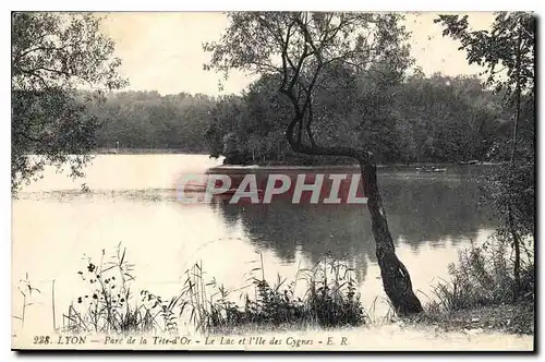 Ansichtskarte AK Lyon Parc de la Tete d'Or le Lac et L'Ile des Cygnes