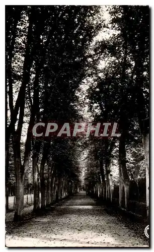 Cartes postales Compiegne Oise un coin du parc du Palais