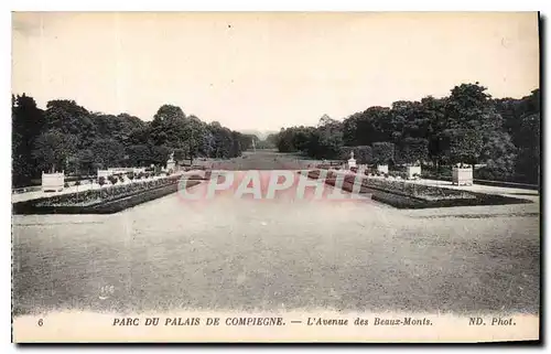 Cartes postales Parc du Palais de Compiegne L'Avenue des Beaux Monts