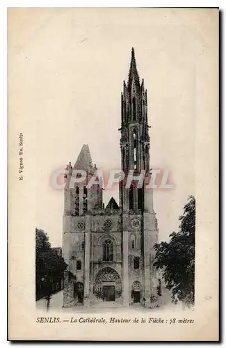 Cartes postales Senlis La Cathedrale Hautuer de la Fleche