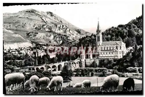 Cartes postales Lourdes La Basilique et le Pic du Jer