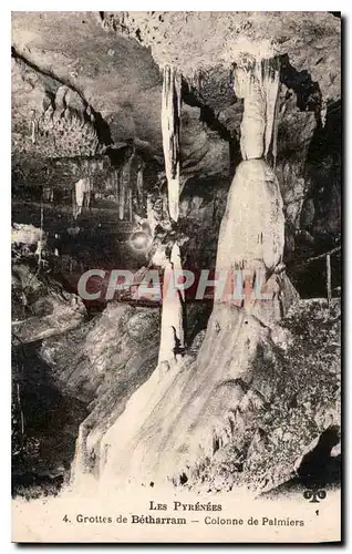 Cartes postales Les Pyrenees Grottes de Betharram Colonne de Palmiers