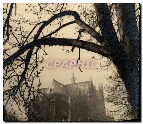 CARTE PHOTO Cathedrale