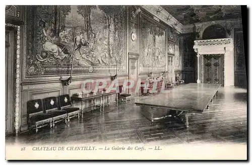 Cartes postales Chateau de Chantilly La Galerie des Cerfs