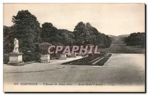 Cartes postales Compiegne L'Avenue des Beaux Monts