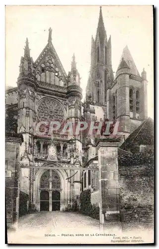 Cartes postales Senlis Portail Nord de la Cathedrale