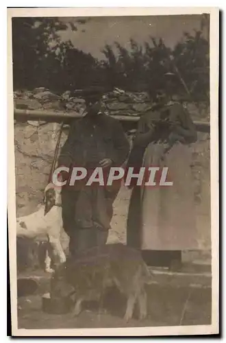 CARTE PHOTO Couple Chiens