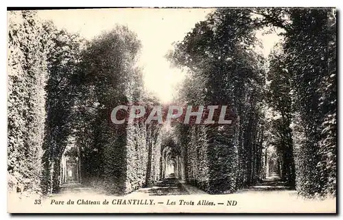 Ansichtskarte AK Parc du Chateau de Chantilly les Trois Allees