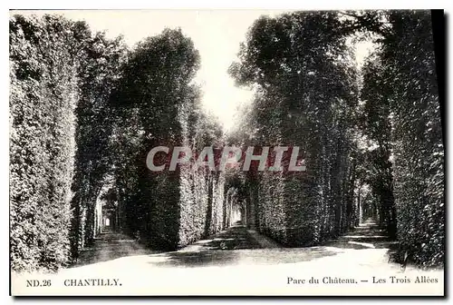 Cartes postales Chantilly Parc du Chateau les Trois Allees