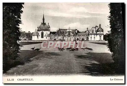 Cartes postales Chantilly le Chateau