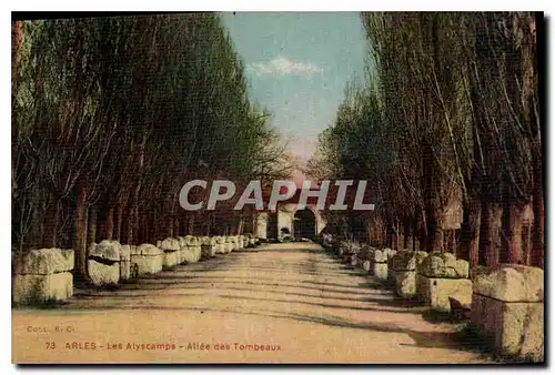 Ansichtskarte AK Arles les Alyscamps Allee des Tombeaux