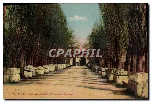 Cartes postales Arles les Alyscamps Allee des Tombeaux