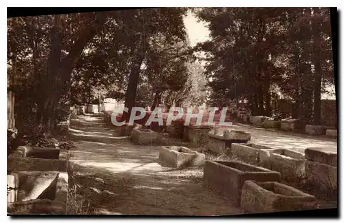 Cartes postales Arles les Alyscamps Allee des  Tombeaux