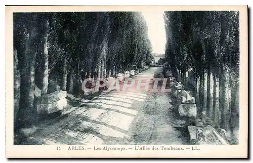 Cartes postales Arles les Alyscamps l'Allee des Tombeaux