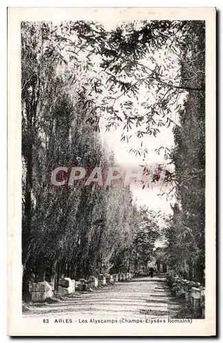 Cartes postales Arles les Alyscamps Champs Elysees Romains