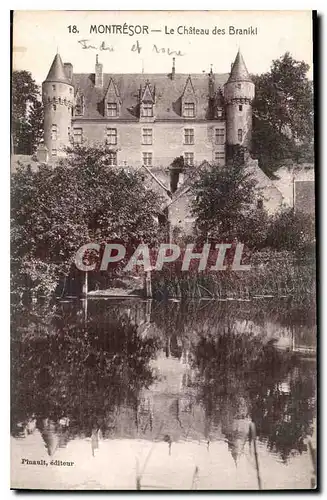Cartes postales Montresor le Chateau des Branikl