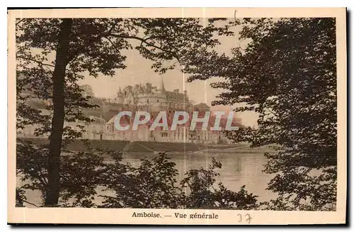 Cartes postales Amboise vue generale