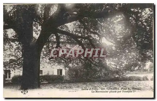 Ansichtskarte AK Indre et Loire Loches Parc du Chateau le Marronnier Plante par Francois 1er