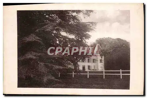 CARTE PHOTO Ch�teau