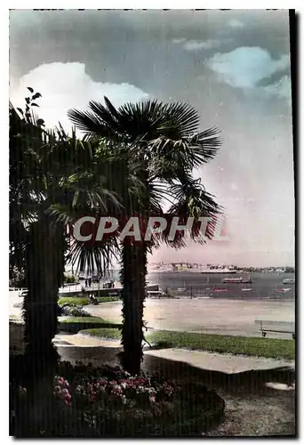 Cartes postales moderne Dinard I & V La palmeraie