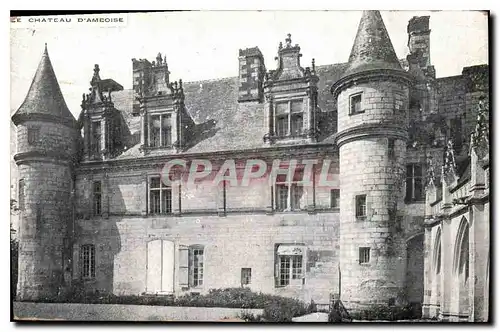 Cartes postales Le Chateau d'Amboise