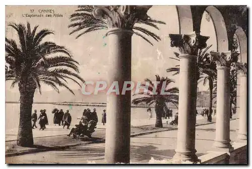 Cartes postales Cannes l'Esplanade des Allies