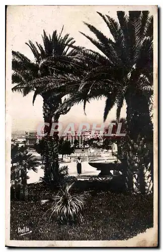 Cartes postales Cannes le Parc Albert Ier