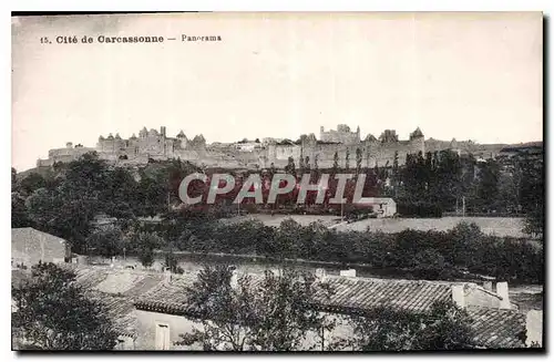 Cartes postales Cite de Carcassonne Panorama