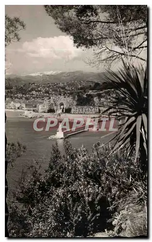 Cartes postales La Cote d'Azur Nice vue prise du Mont Boron