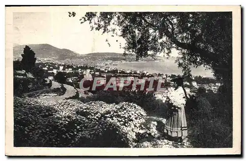 Cartes postales Cote d'Azur Artistique Nice Entre les fleurs et les oliviers