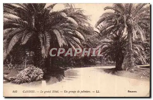 Cartes postales Cannes le Grand Hotel un Groupe de Palmiers