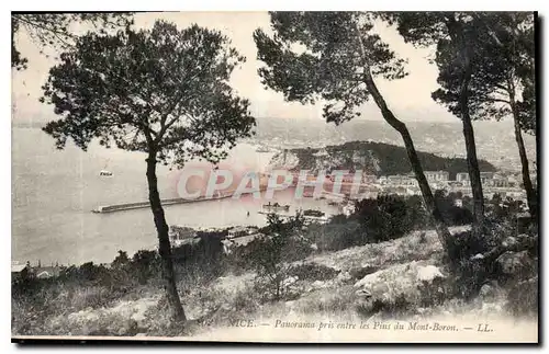 Cartes postales Nice panorama pris entre les Pins du Mont Boron