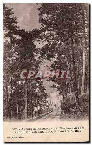 Cartes postales Avenue de Peira Cava environs de Nice Station Estivale a 40 kil de Nice