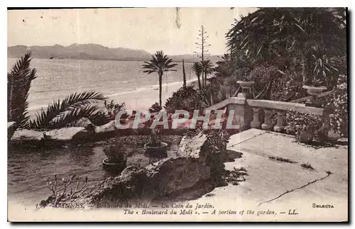 Cartes postales Cannes Boulevard du midi un coin du Jardin