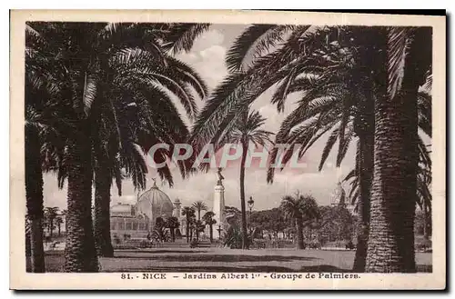 Cartes postales Nice Jardins Albert Ier Groupe de Palmiers