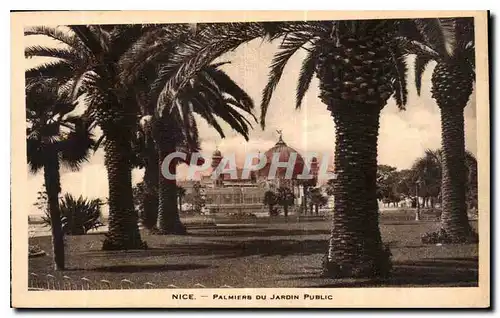 Cartes postales Nice Palmiers du Jardin Public