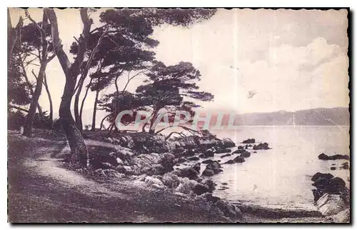 Cartes postales Iles de Lerins