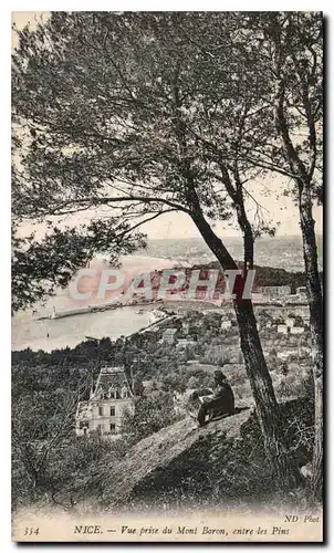 Cartes postales Nice vue prise du mont Bororn entre les Pins