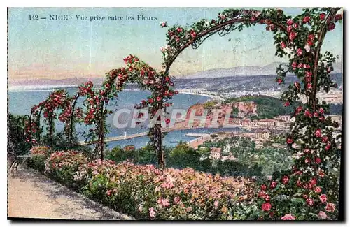 Cartes postales Nice vue prise entre les fleurs