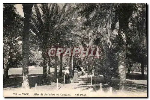 Cartes postales Nice Allee de Palmiers au Chateau