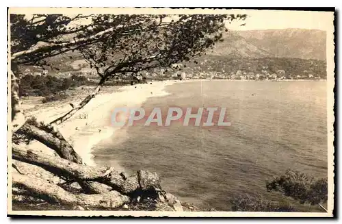 Cartes postales Cote des Maures le Lavandou