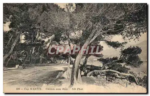 Cartes postales Cap Martin Chemin sous Bois