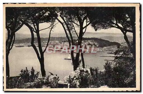 Cartes postales Cote d'Azur Artistique Nice vue entre les Pins