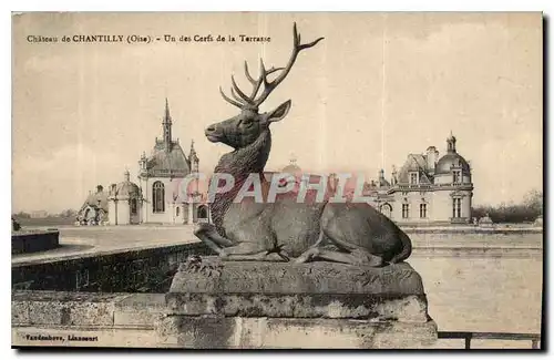 Ansichtskarte AK Chateau de Chantilly Oise Un des Cerfs de la Terrasse