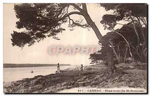 Ansichtskarte AK Cannes Sous bois Ile St Honorat