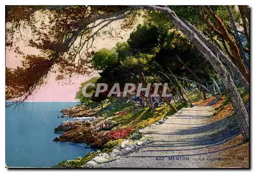 Cartes postales Menton Le Cap Martin