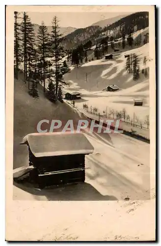 CARTE PHOTO Neige