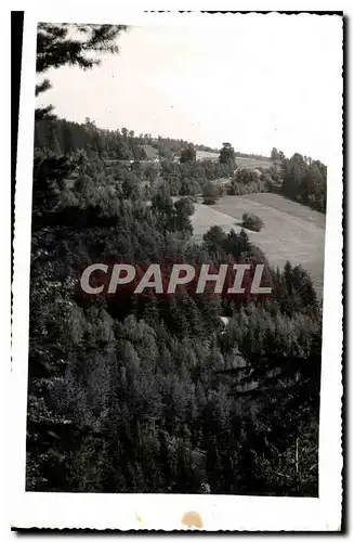 CARTE PHOTO paysage