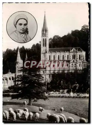 Cartes postales Lourdes H P la Basilique en medaillon Sainte Bernadette Moutons